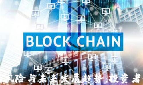 
区块链与比特币的风险与未来发展趋势：投资者必须注意的关键点