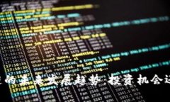 VPay币区块链的未来发展趋势：投资机会还是暴富