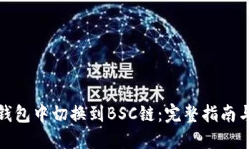 如何在TP钱包中切换到BSC链：完整指南与未来趋势