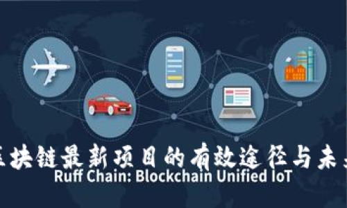 探索区块链最新项目的有效途径与未来趋势