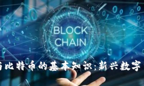 深入了解区块链与比特币的基本知识：新兴数字货币的前景与挑战