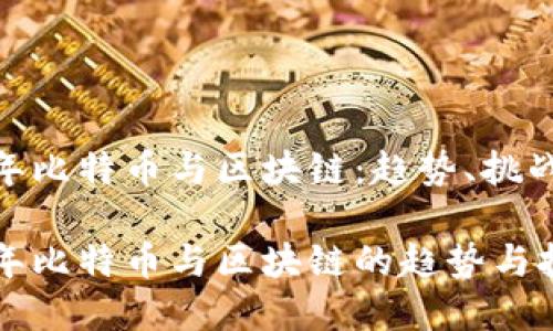 未来五年比特币与区块链：趋势、挑战与机遇

未来五年比特币与区块链的趋势与挑战分析