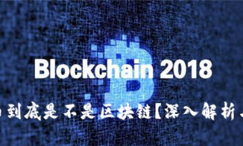 riaoti派币到底是不是区块链？深入解析与未来展望