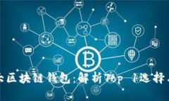 全球第一大区块链钱包：解析Top 1选择与发展趋势