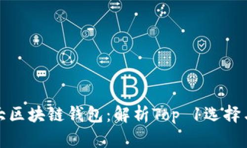 全球第一大区块链钱包：解析Top 1选择与发展趋势