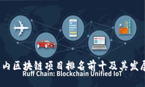 2023年国内区块链项目排名前十及其发展趋势分析