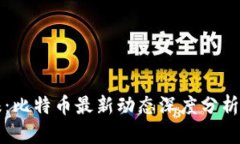 区块链日报：比特币最新动态深度分析与未来趋