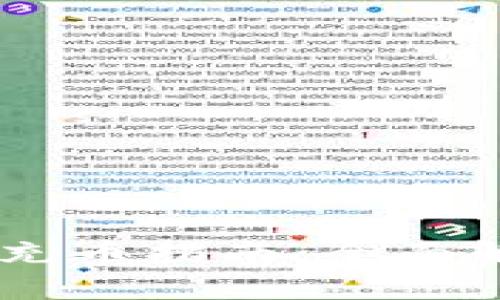 区块链交易ID验证与充币指南：全面解析背后的技术与应用