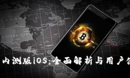 t p钱包内测版iOS：全面解析与用户使用指南