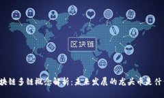 区块链多链概念解析：未来发展的龙头币是什么