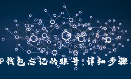 如何找回TP钱包忘记的账号：详细步骤与注意事项