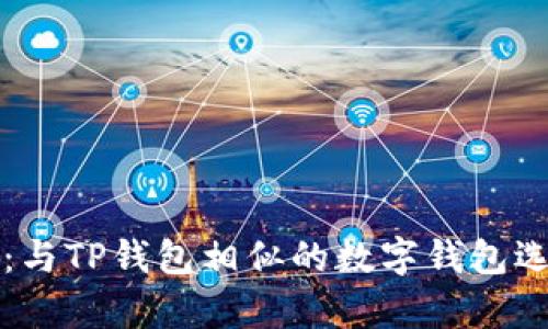 全面解析：与TP钱包相似的数字钱包选择与应用