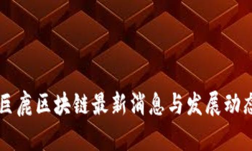 巨鹿区块链最新消息与发展动态